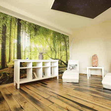 Apartmán Apartmenthaus Harzmomente Sankt Andreasberg